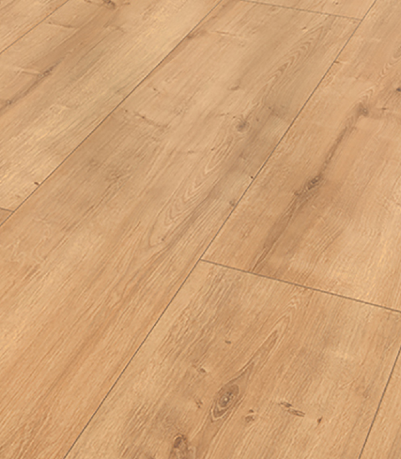 TULIP WIDE55810